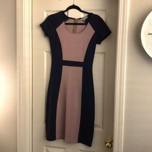Fitted Pencil Dress